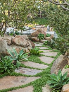 Moss Rock Stepping Stones