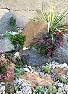 Desert Oasis Boulders