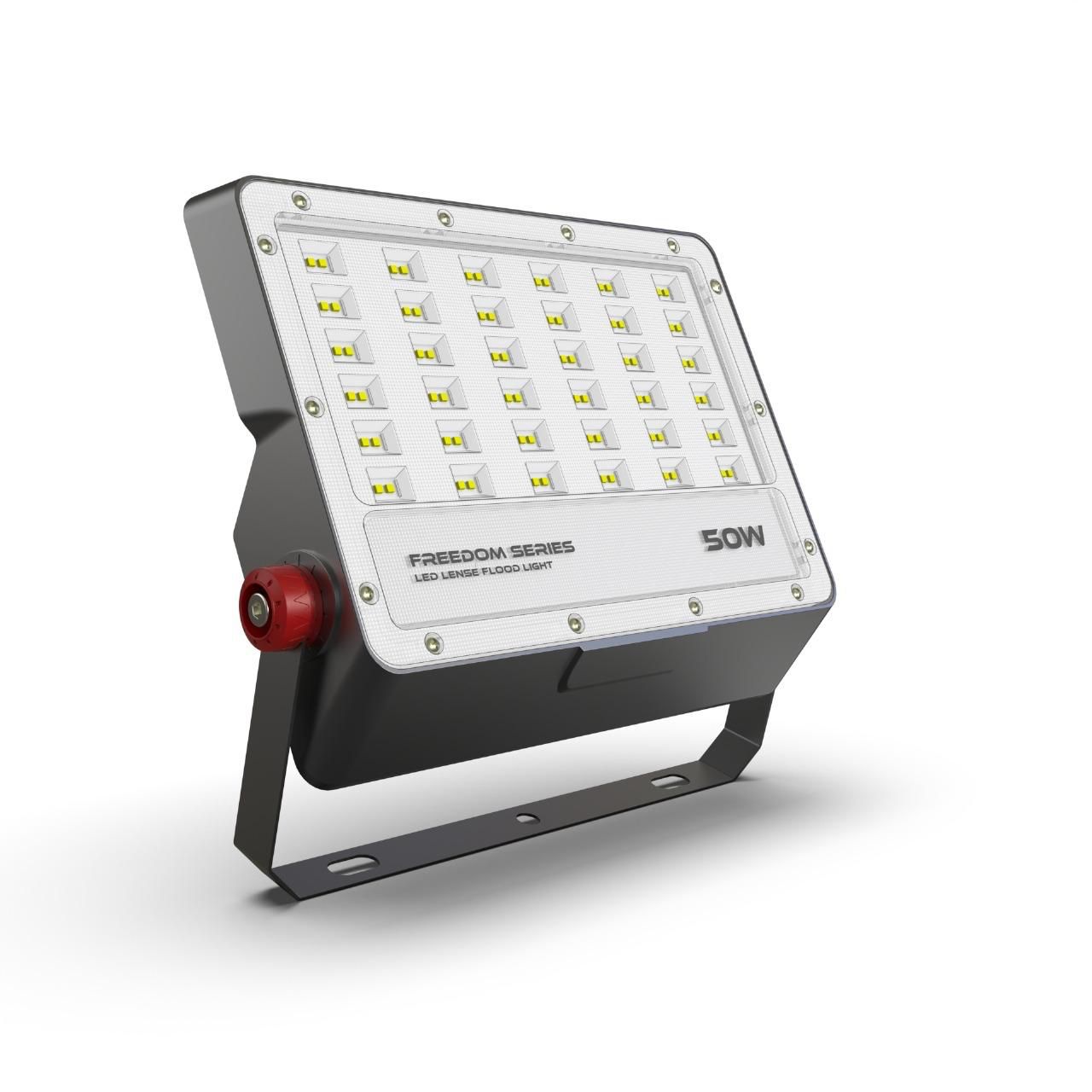 Freedom Flood LED Light