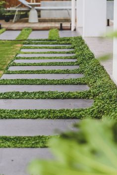 Green Harmony Walkway