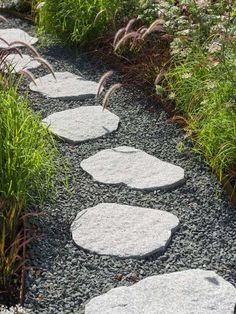 Organic Stone Steppers