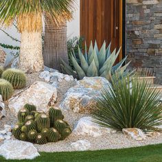 Desert Oasis Boulder Set (₹8000/ton)