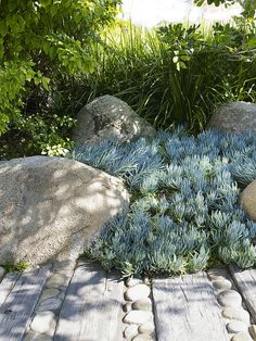 Serene Garden Boulders